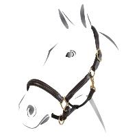 Licol Cuir Matelass Double rglage Coutures Blanches, EQUESTRO  