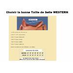 WINTEC - Selle Western Synthétique Arçon Type Rooper