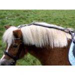 Enrnement Anti-Basculement Rglable Shetland , Poney, Cheval, NORTON