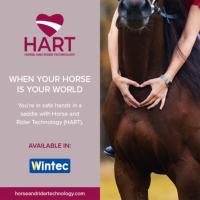 WINTEC PRO - Selle australienne aspect nubuck avec fenders STOCK