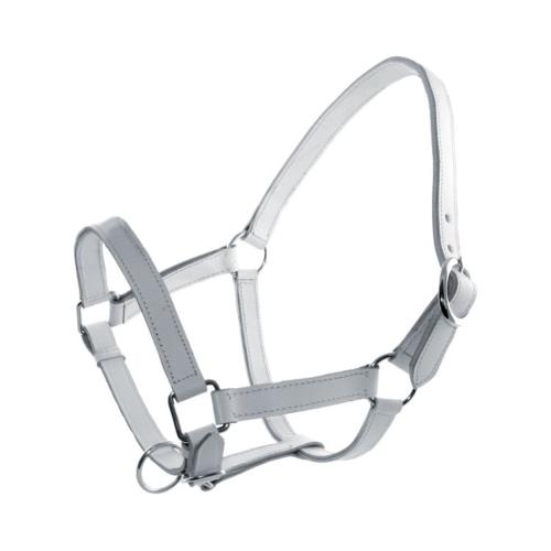 Licol Cuir BLANC Chrome Poney à Cheval de Trait, DERBY