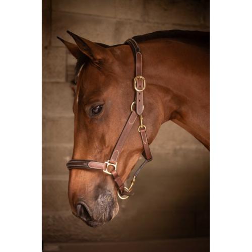 PADDOCK Sports - Licol cuir doublé 3 mousquetons bicolore