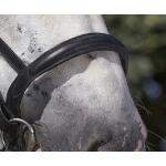 Bridon en Cuir pour Cheval de TRAIT, NORTON