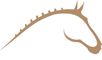 Boutique d'équitation en ligne - équipement du cheval