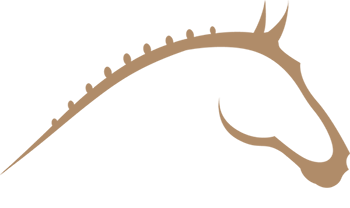 Boutique d'quitation en ligne - quipement du cheval