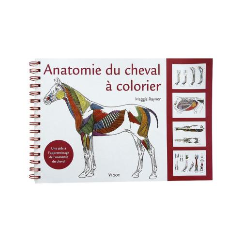 Anatomie du Cheval, Manuel Universitaire à Colorier Maggie Raynor