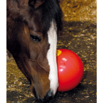 Balle de Distraction du Cheval au Box SNAK-A-BALL ,LIKIT