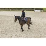 Blouson DAYLAIR Cavalier Compatible AIRBAG , EQUITHEME