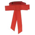 Ruban de Queue Rouge pour Cheval qui Tape, NORTON