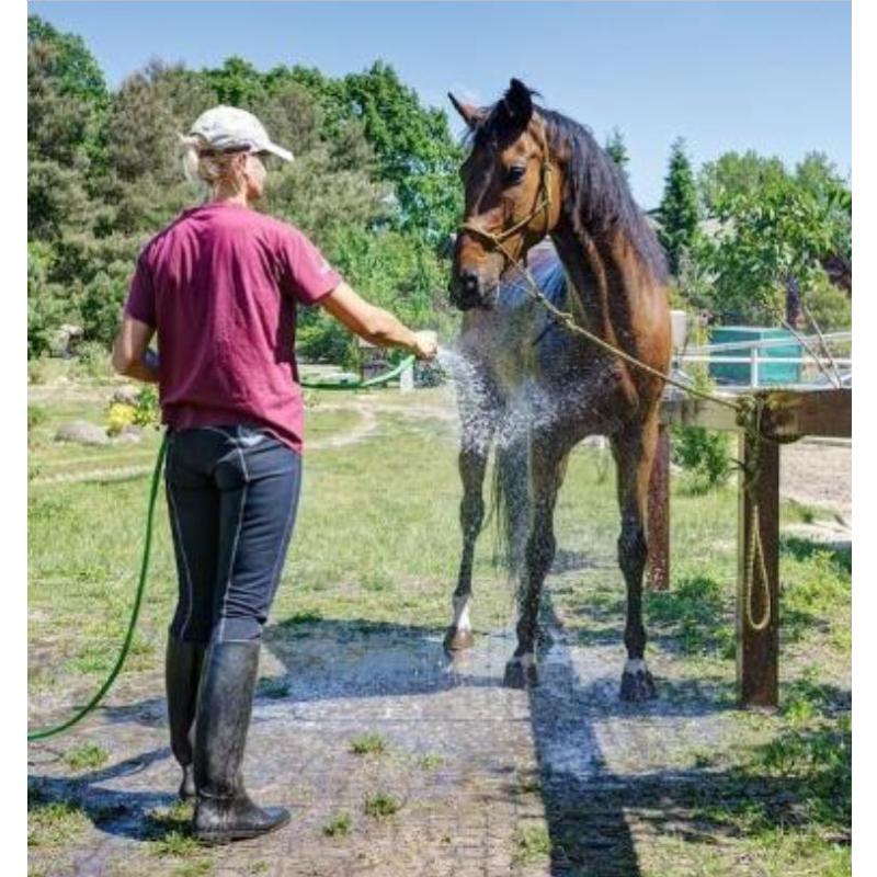 Dalle stabilisatrice chevaux et tapis d'écurie - Valisol