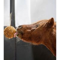 Boule à Muesli LIKIT pour Cheval au Box, 1.6 KG