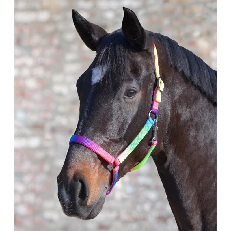 Cheval avec la queue arc-en-ciel la plus longue, la plus épaisse et la plus  moelleuse de tous les temps · Creative Fabrica