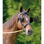 Bride d'Attelage PREMIER PRIX en Cuir avec Oeillres,  WALDHAUSEN 
