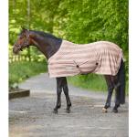 Chemise Anti Mouche Shetland à CHEVAL, WALDHAUSEN 