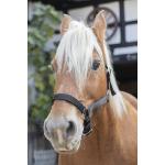 Licol Cheval de Trait Large en Nylon Triple paisseur, NORTON