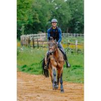 FREEJUMP - Gilet Airbag Cavalier AIR2 EQUITHÈME 