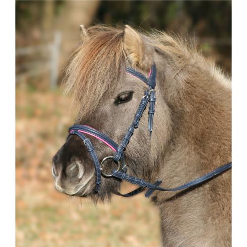 Bridon Shetland, Poney Bicolore avec Strass UNICORN, WALDHAUSEN 