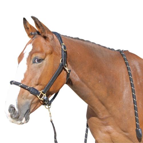 Longe d'Attache Corde Epaisse et Cuir, PROTANNER