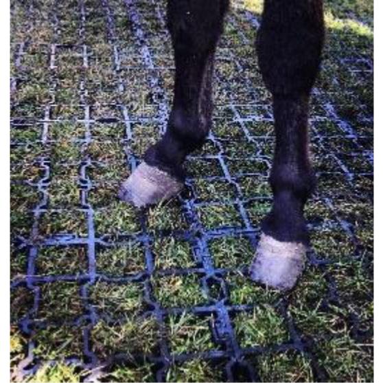 Dalles de Stabilisation Sols Paddock et Abris Chevaux STAB MAX