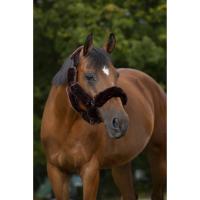 Set pour Licol  en Fourrure Mouton Synthétique TEDDY , EQUITHÈME 
