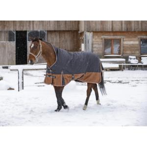Couverture de Pré High Neck 600 Deniers AISANCE, EQUITHEME TYREX 