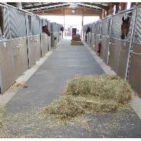 Tapis caoutchouc chevaux Grande Largeur pour box , couloir d'écurie, MAJOR