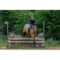 FREEJUMP - Gilet Airbag Cavalier AIR2 EQUITHÈME 