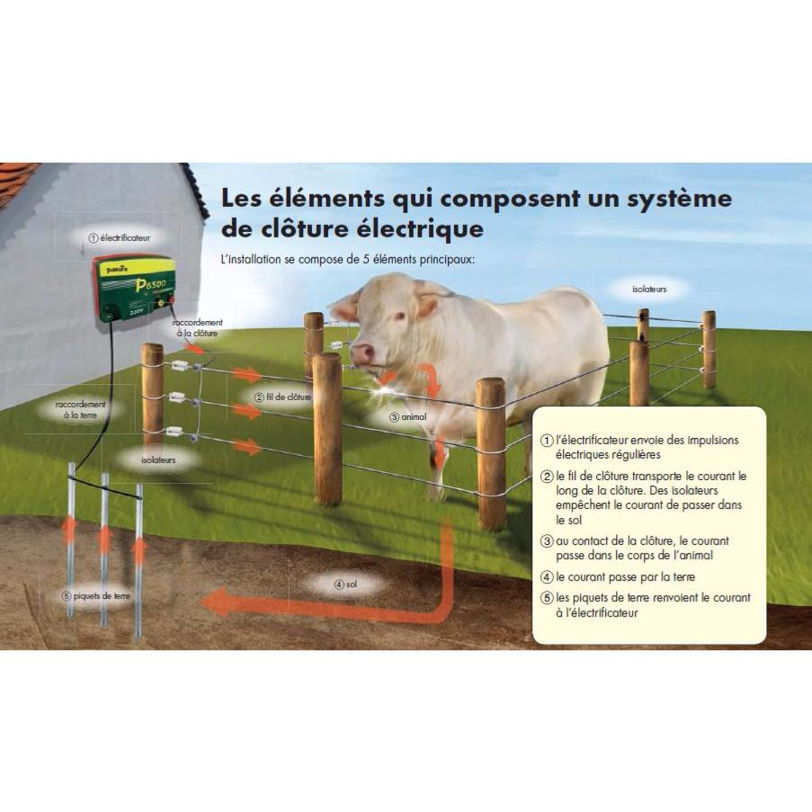 Les éléments qui composent une clôture électrique pour chevaux