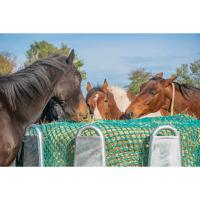 Filets   Foin pour Rteliers Chevaux 