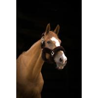 Licol TEDDY Doublé Mouton Synthétique Réglable , EQUITHEME