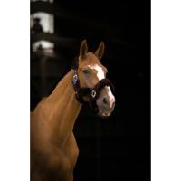 Licol TEDDY Doublé Mouton Synthétique Réglable , EQUITHEME