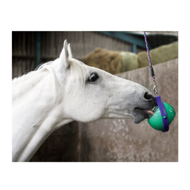 Support Likit - Sellerie instant cheval