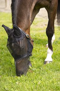 Flymask Intégral Mailles Fines Taille Shetland à Cheval, EQUITHEME