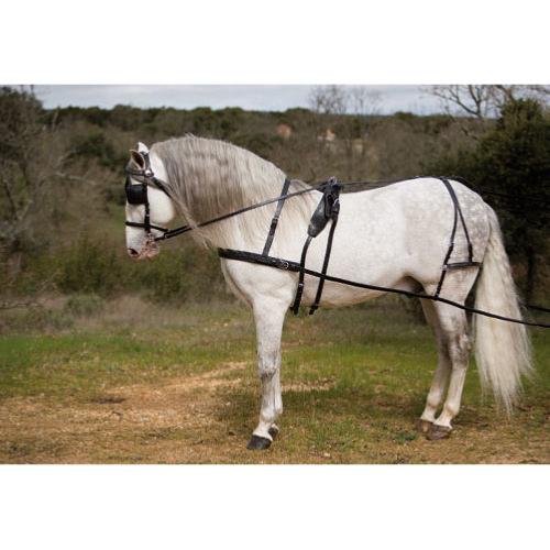 HH - Harnais d'attelage complet cuir matelassé boucles inox KIEL