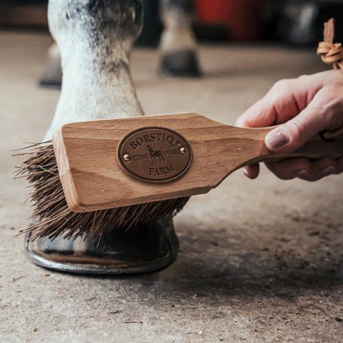 BORSTIQ - Brosse à Sabots Islandaise en Fibres Naturelles 