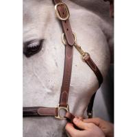 PADDOCK Sports - Licol cuir doublé 3 mousquetons bicolore