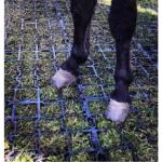 Dalles de Stabilisation Sols Paddock et Abris Chevaux STAB MAX, au M2