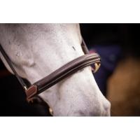 PADDOCK Sports - Licol cuir doublé 3 mousquetons bicolore
