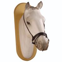 Muserolle Combinée en Cuir Matelassé Poney à Cheval, SUPREME