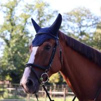 LAMI-CELL- Bonnet Cheval à Oreilles Anti Bruit SILENTAIR