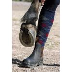 MOUNTAIN HORSE - Boots Sécurité à Coque Acier Groom et Cavalier EN 20345