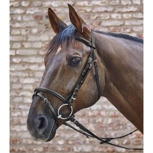 Bridon PREMIER PRIX en Cuir BASIC, WALDHAUSEN