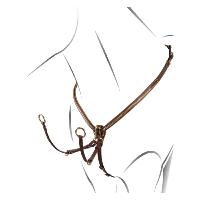 Collier de Chasse Clincher en Cuir avec Martingale, EQUESTRO