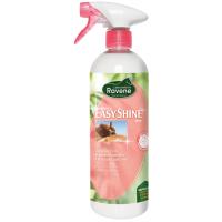 RAVENE - EASY SHINE Dmlant Lustrant pour Robe et Crins