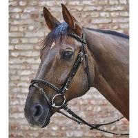 Bridon PREMIER PRIX en Cuir BASIC, WALDHAUSEN