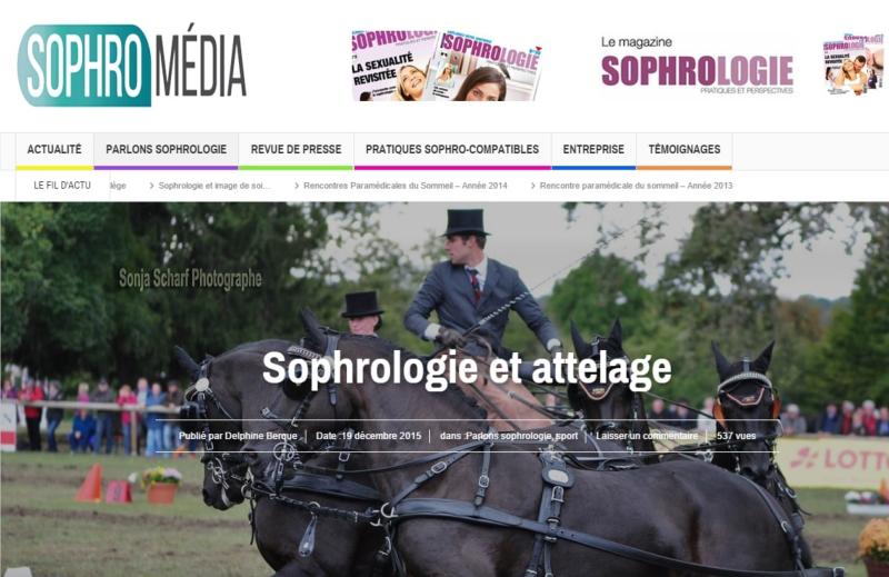 Sophrologie et attelage par Delphine Berque - Sophrologue (0674883859)