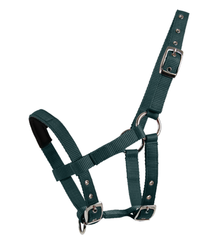 Licol Nylon Mini Shetland Multi Réglage, Waldhausen 