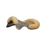 Amortisseur de Dos en Gel Bord Mouton ECO WOOL, ACAVALLO
