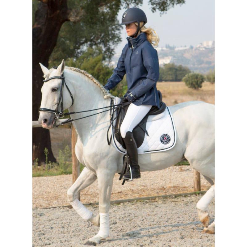 Protection pour chevaux : comment choisir