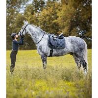 Selle Dressage Cuir à Arcade Modulable PREMIUM , WALDHAUSEN 